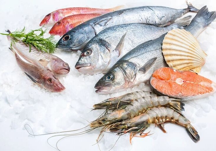 A variety of fish and seafood on a table.